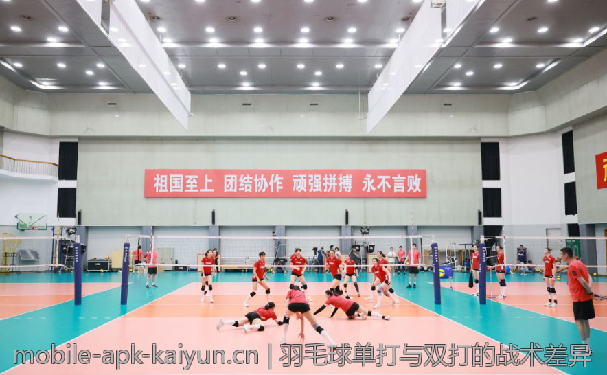 羽毛球单打与双打的战术差异
